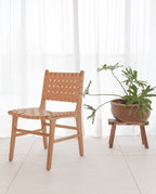 restauration n°1 en naturel