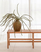 banc n°2 en naturel